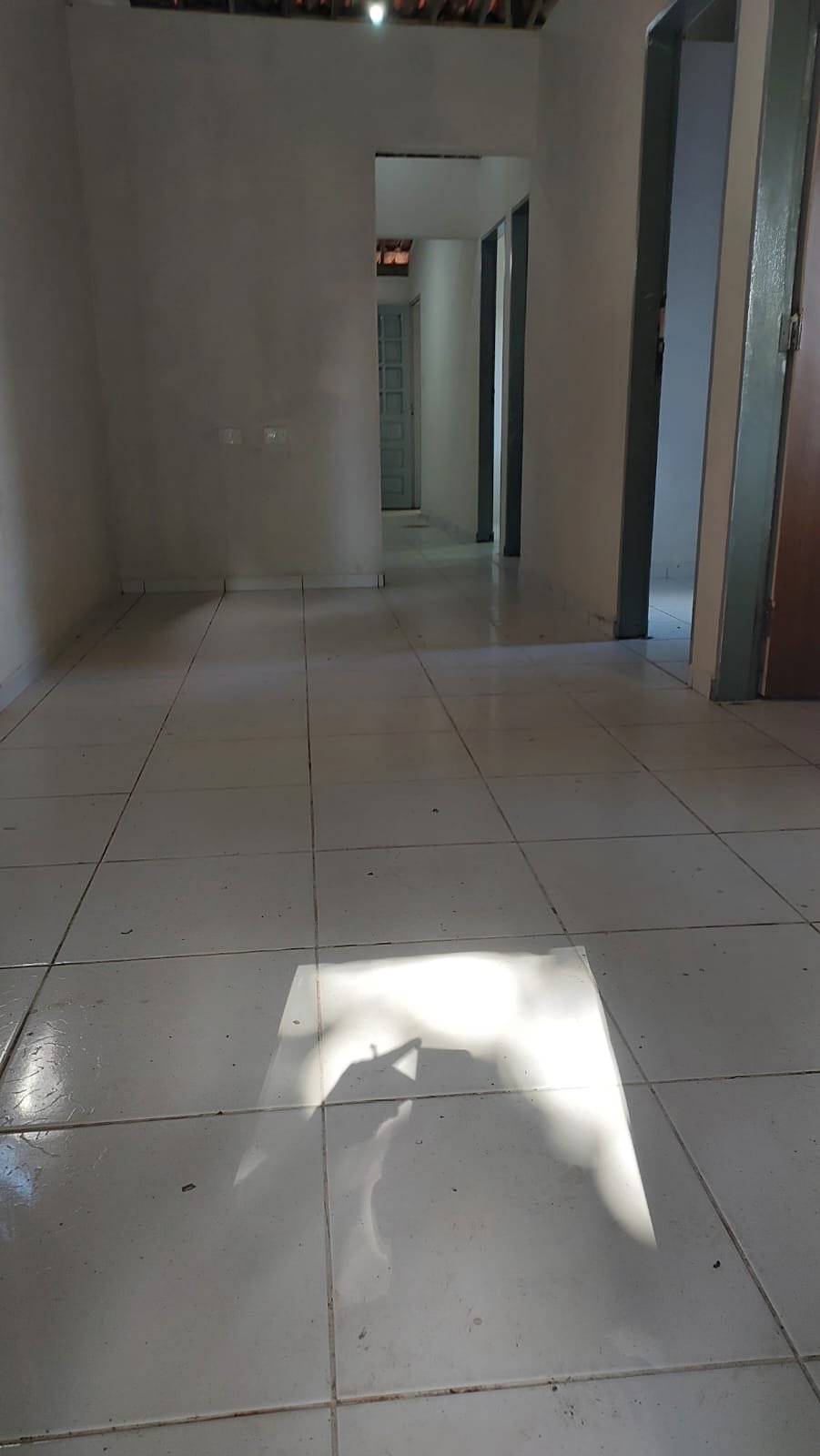 0619d647-ec92-48ff-910a-b996c0d06554