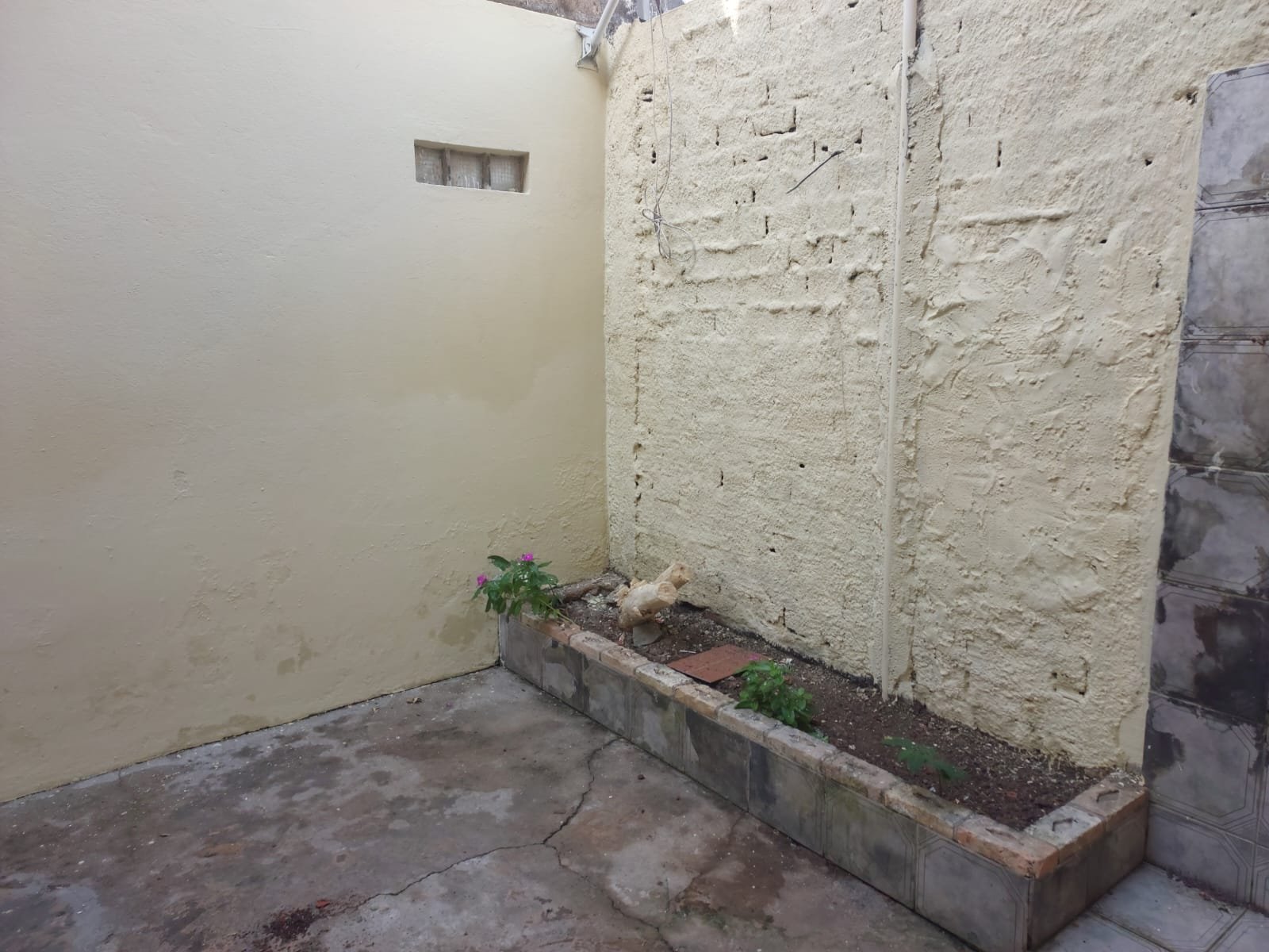 5ad3a23f-93cd-40a3-aa6f-91b2924ae919